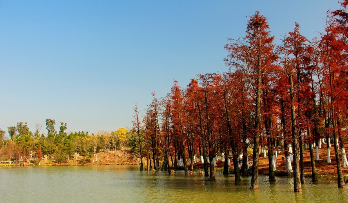 #佳能月赛-冬日精彩#_南方冬日里的暖色。