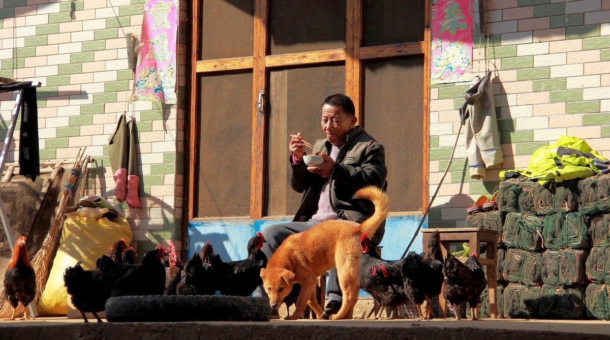 #佳能月赛-冬日精彩#_南方冬日里的暖色。