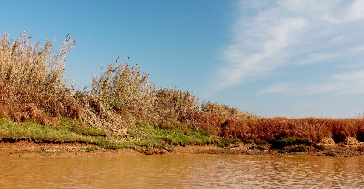 #佳能月赛-冬日精彩#_南方冬日里的暖色。