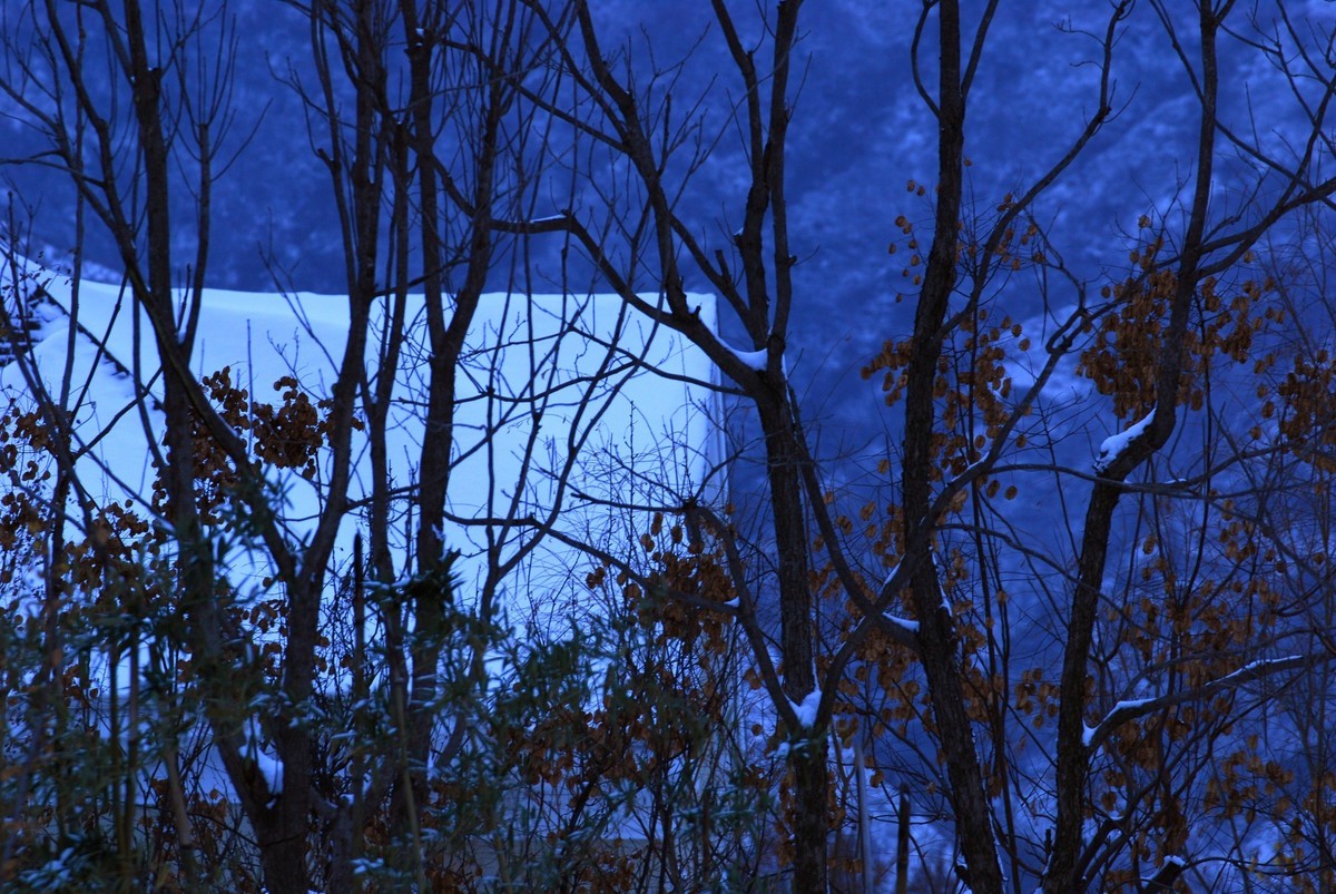 终南山又名太乙山、地肺山、中南山、周南山，简称南山，是