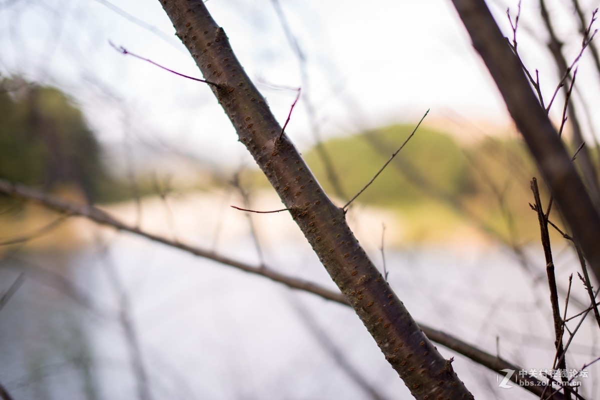 收了个老适马1代50 1.4非ART,大眼睛，全开很肉，其他还好，二手性价比高。