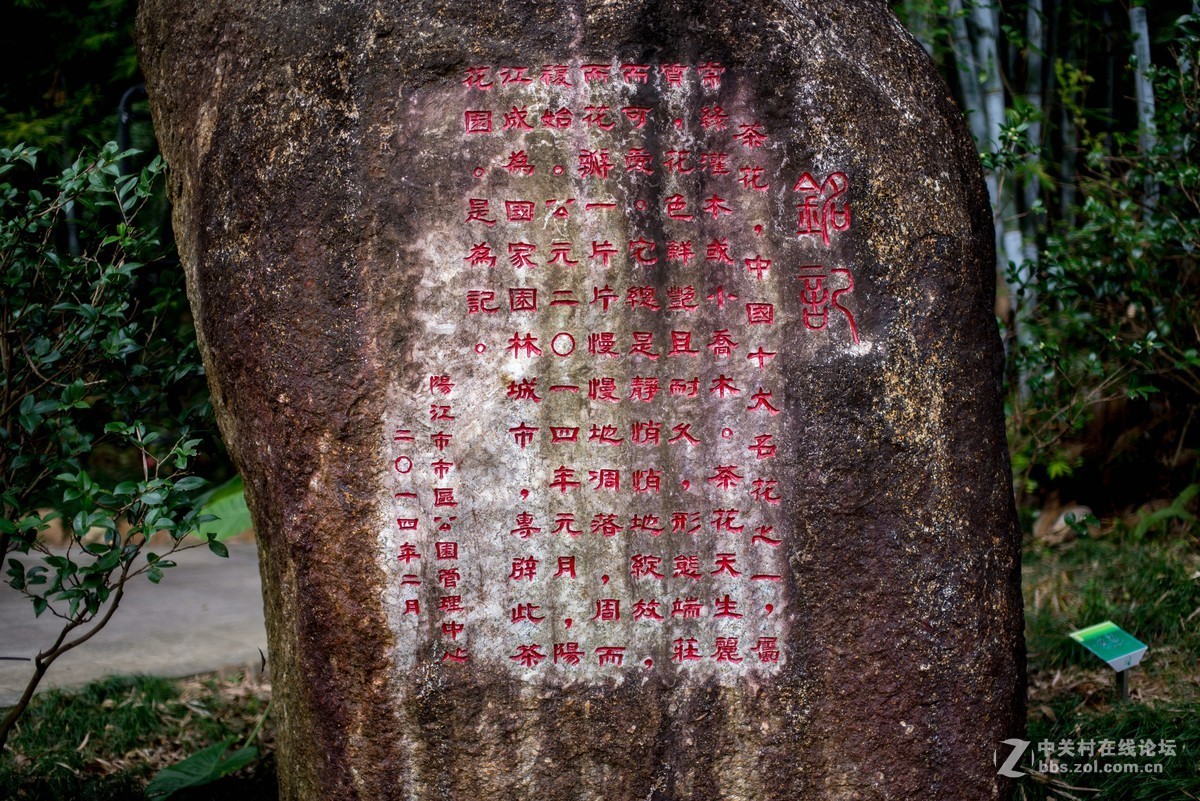 收了个老适马1代50 1.4非ART,大眼睛，全开很肉，其他还好，二手性价比高。