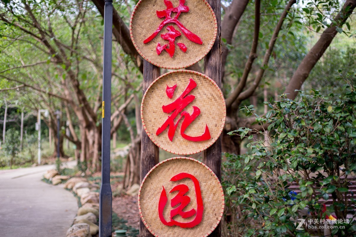 收了个老适马1代50 1.4非ART,大眼睛，全开很肉，其他还好，二手性价比高。