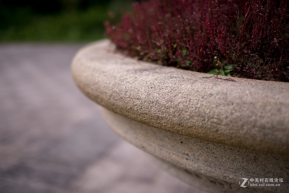 收了个老适马1代50 1.4非ART,大眼睛，全开很肉，其他还好，二手性价比高。