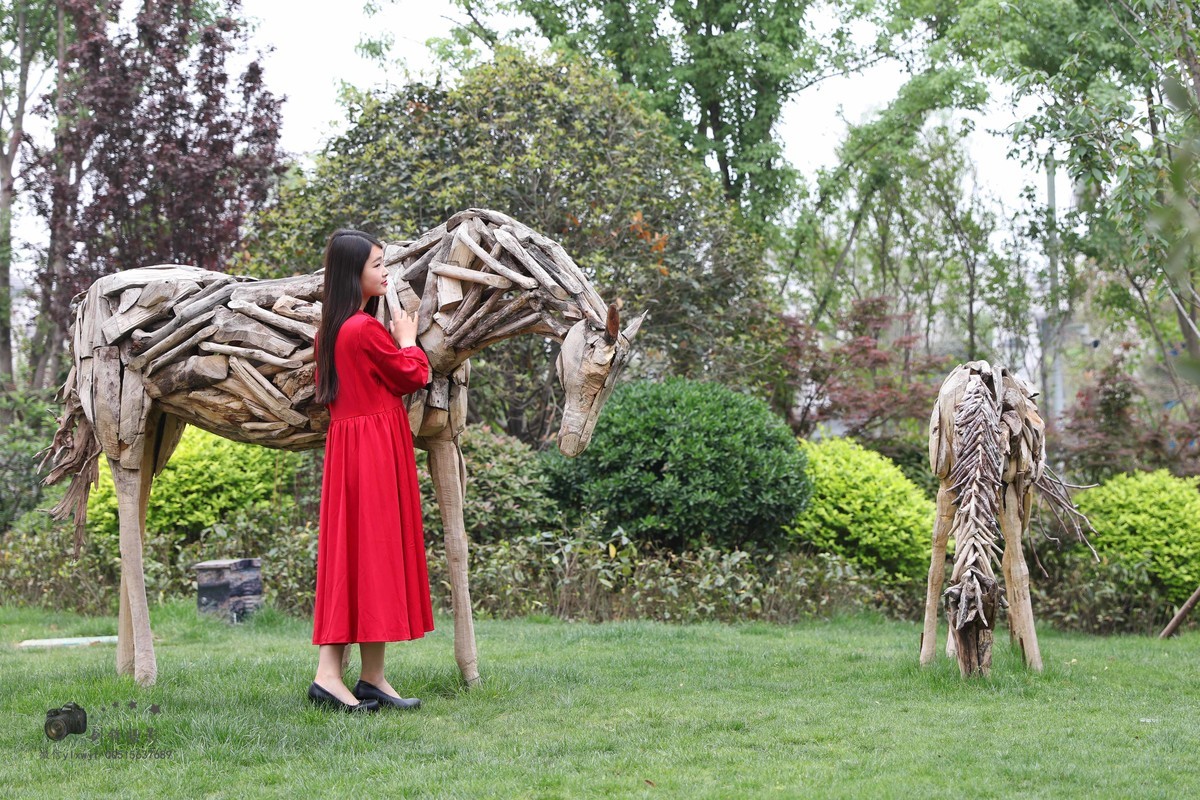 初来5DSR-试机片