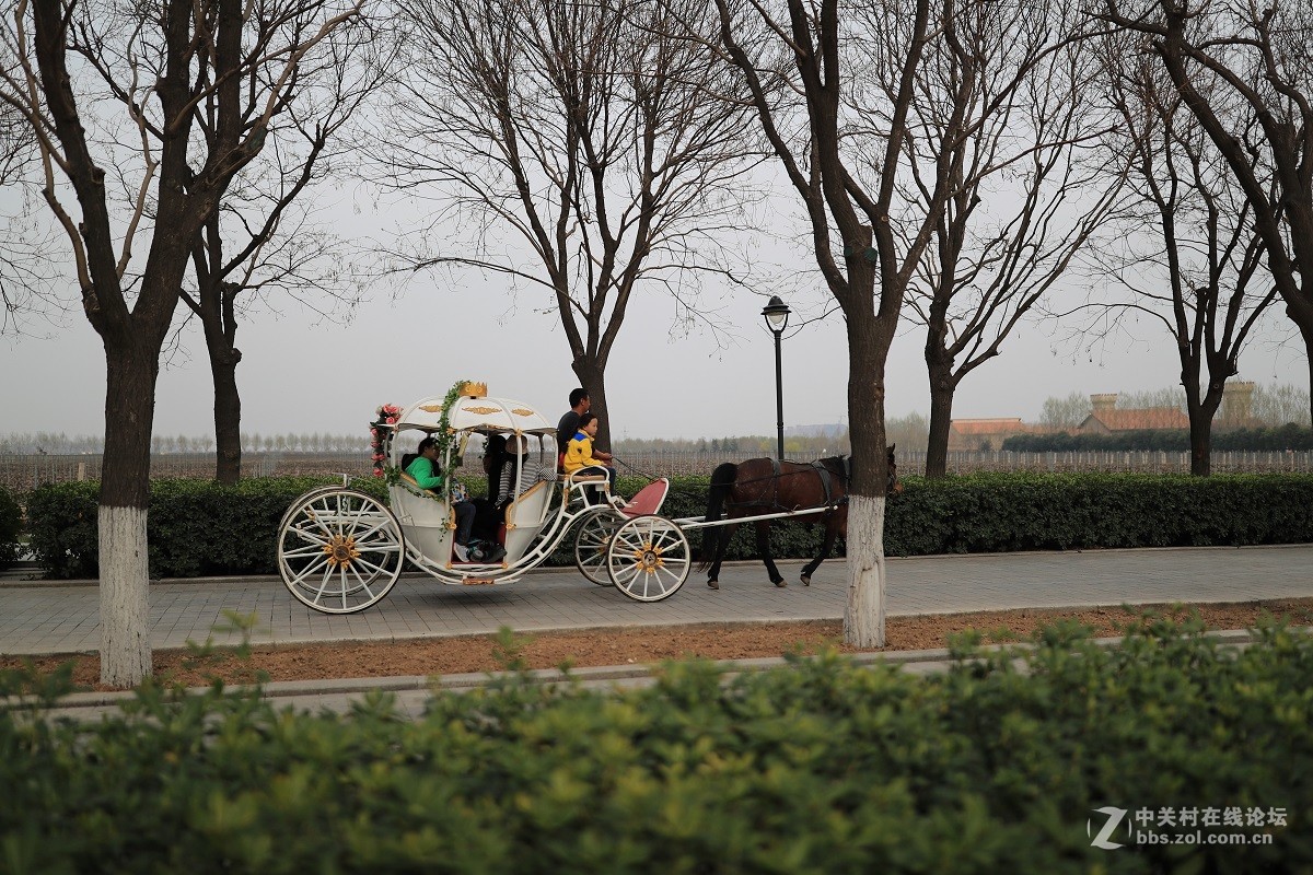 托斯卡纳古堡风格～张裕酒庄