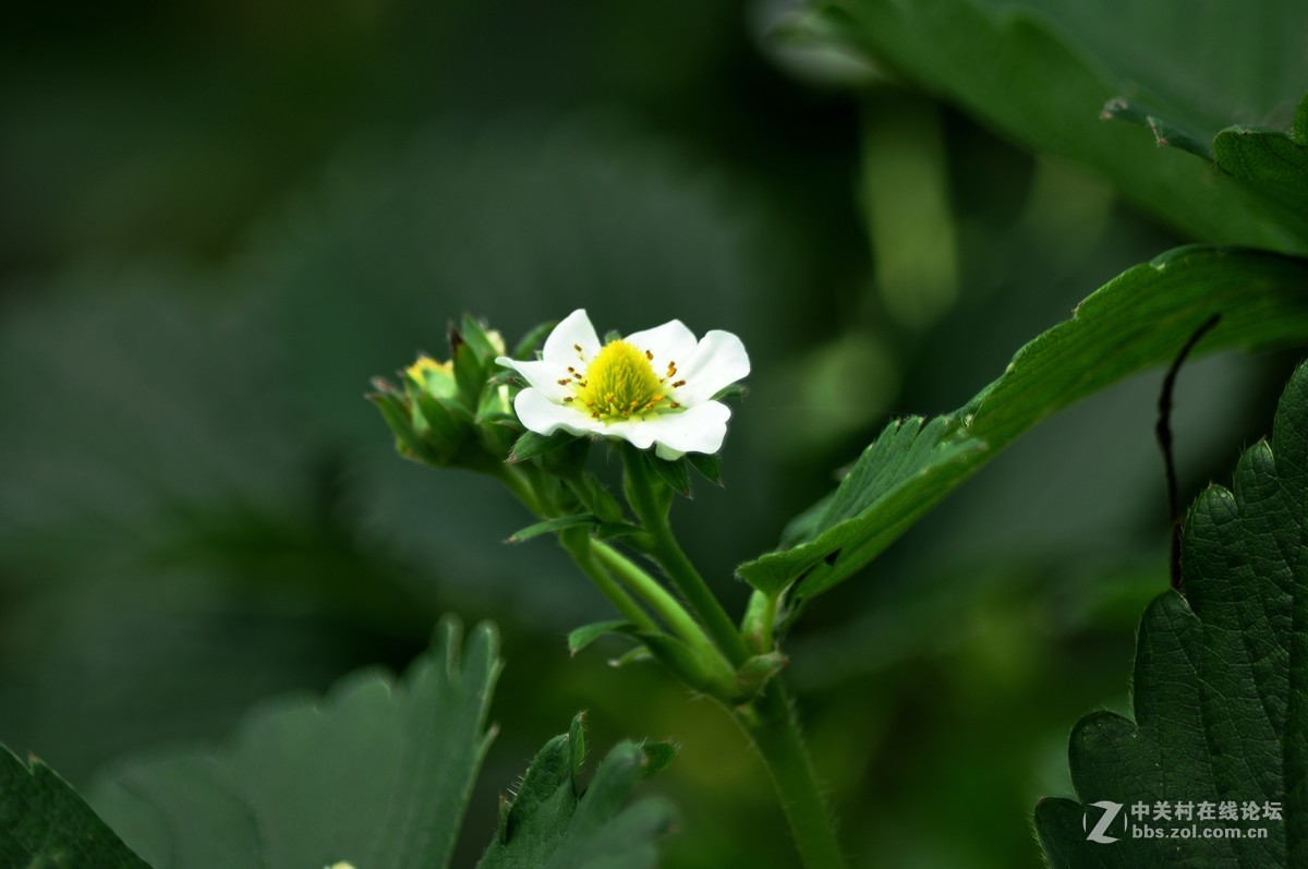 公司园子里的一组随拍