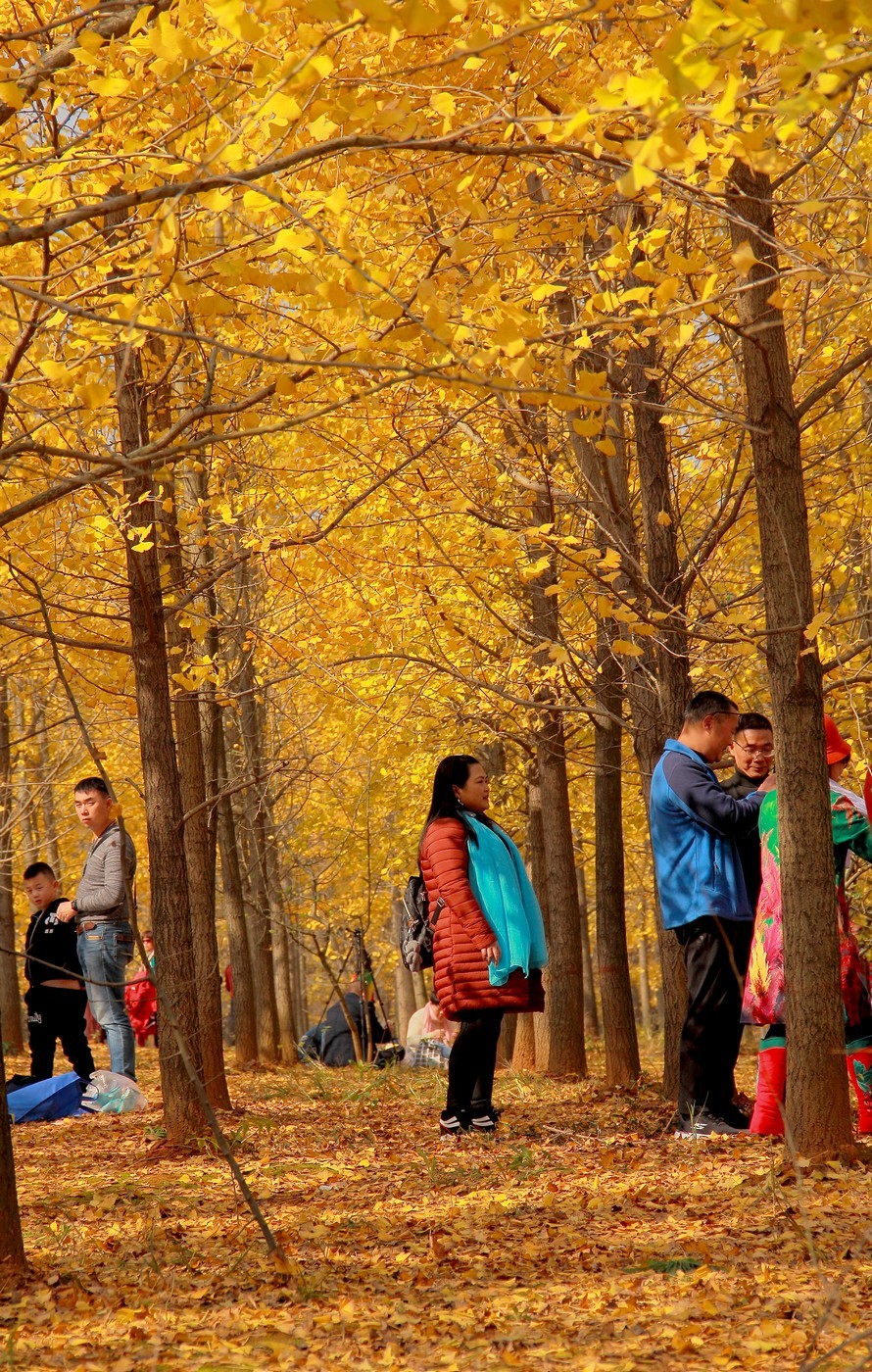 #佳能月赛-冬日精彩#_南方冬日里的暖色。