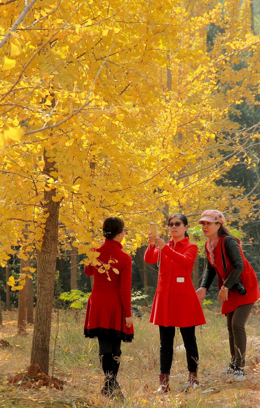 #佳能月赛-冬日精彩#_南方冬日里的暖色。