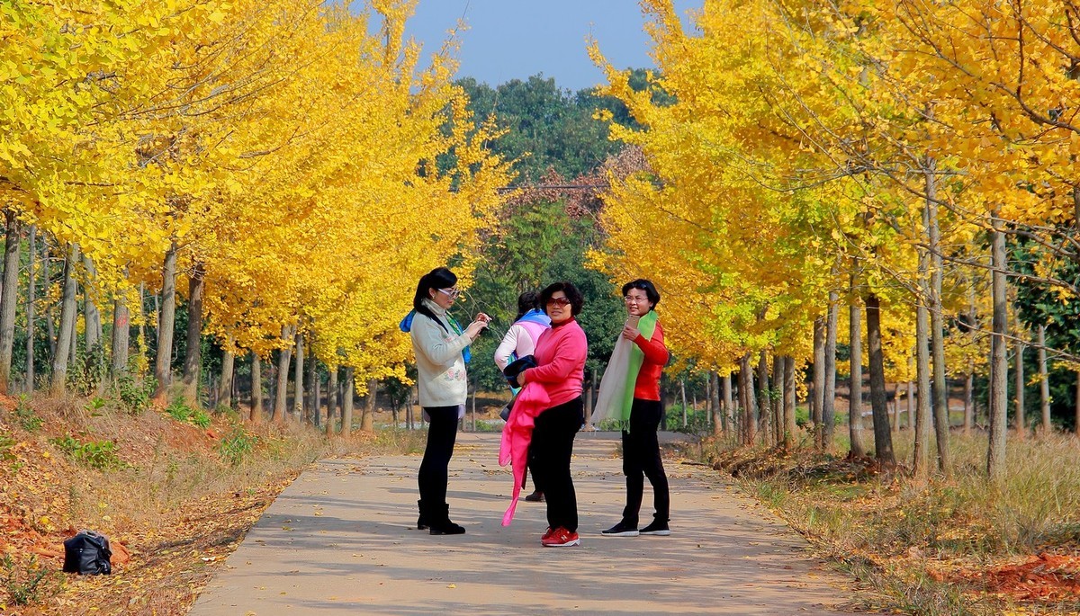 #佳能月赛-冬日精彩#_南方冬日里的暖色。