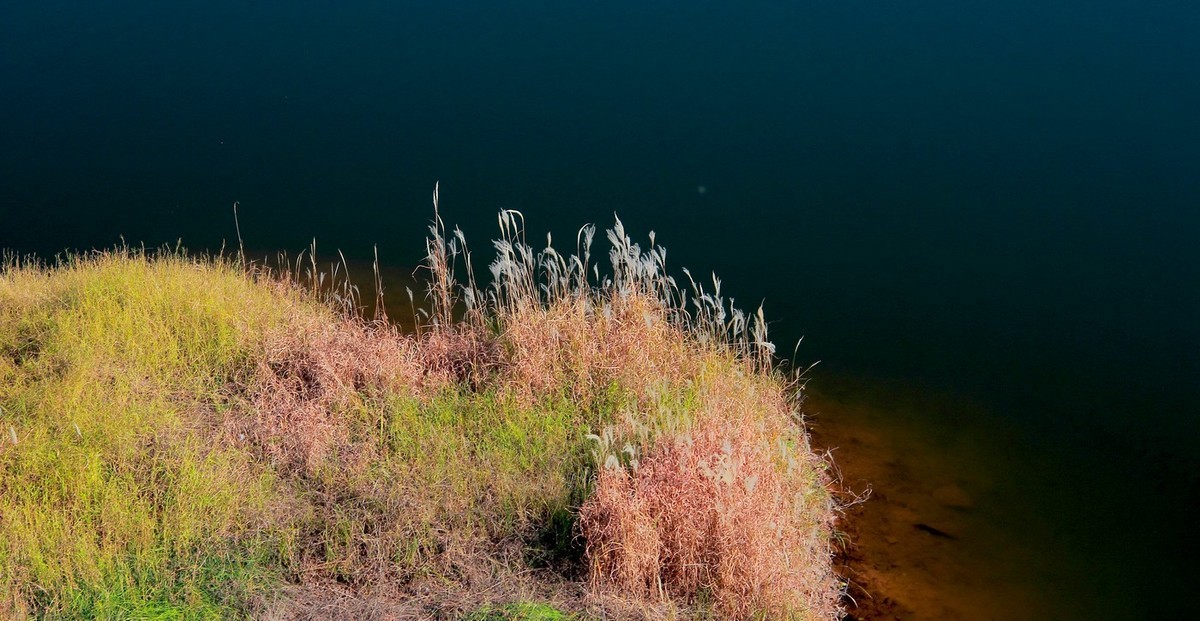 #佳能月赛-冬日精彩#_南方冬日里的暖色。