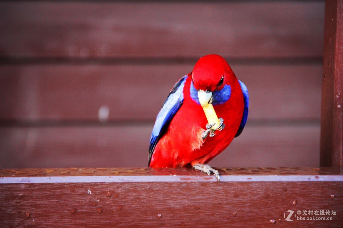 #佳能EOS M6-定格光影# +感受澳洲阳光海浪