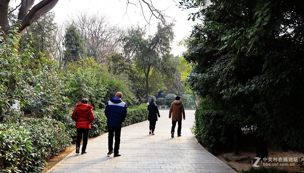 西安革命公园随拍《3》