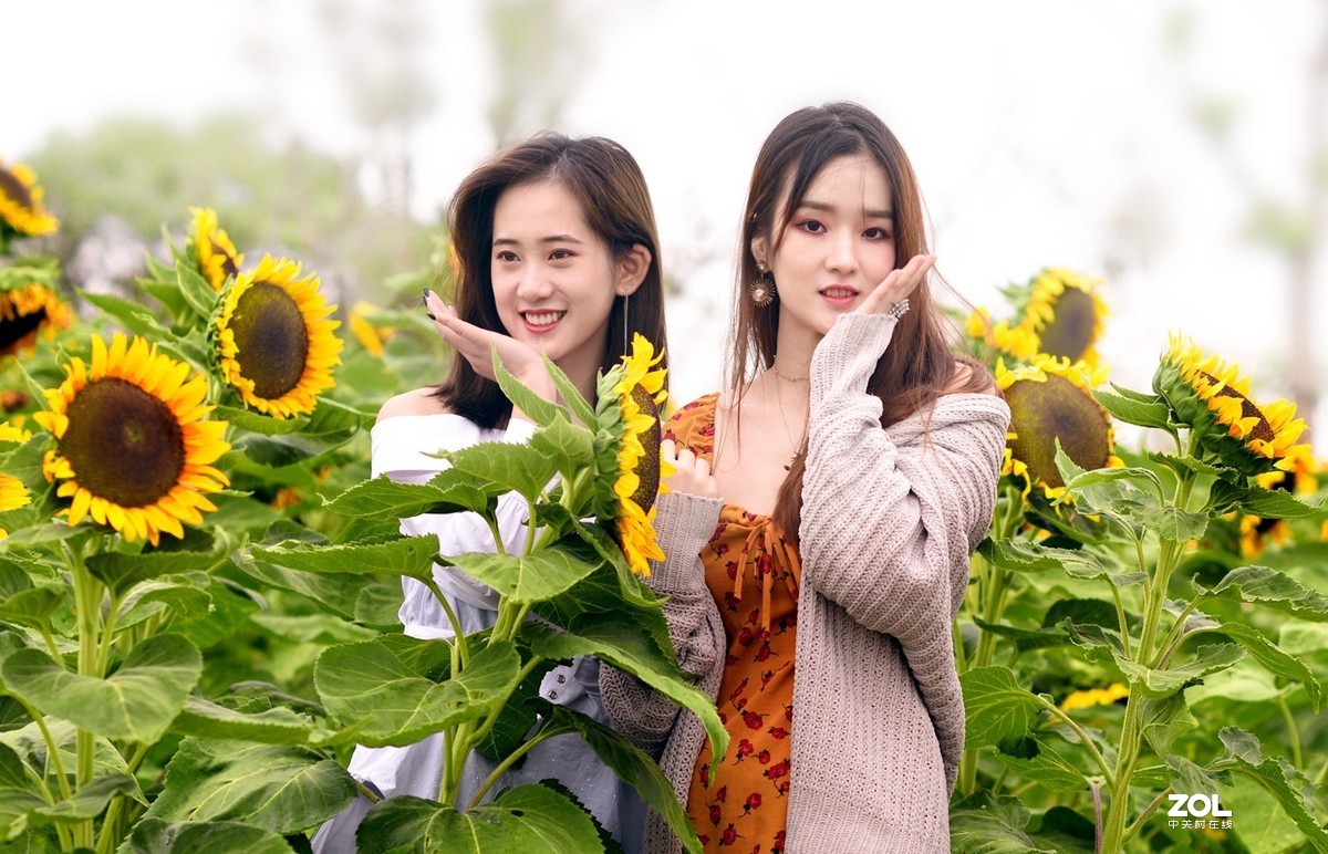 漏发的几张美女