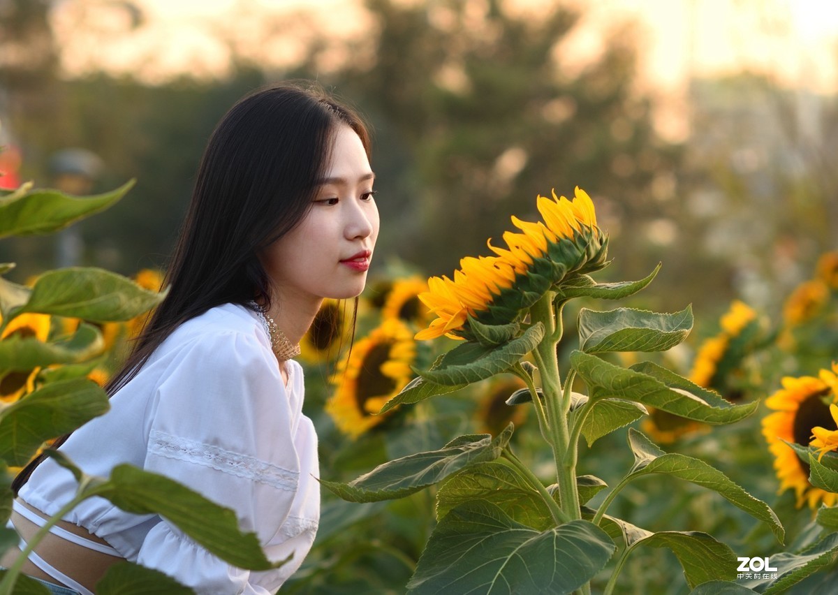 漏发的几张美女