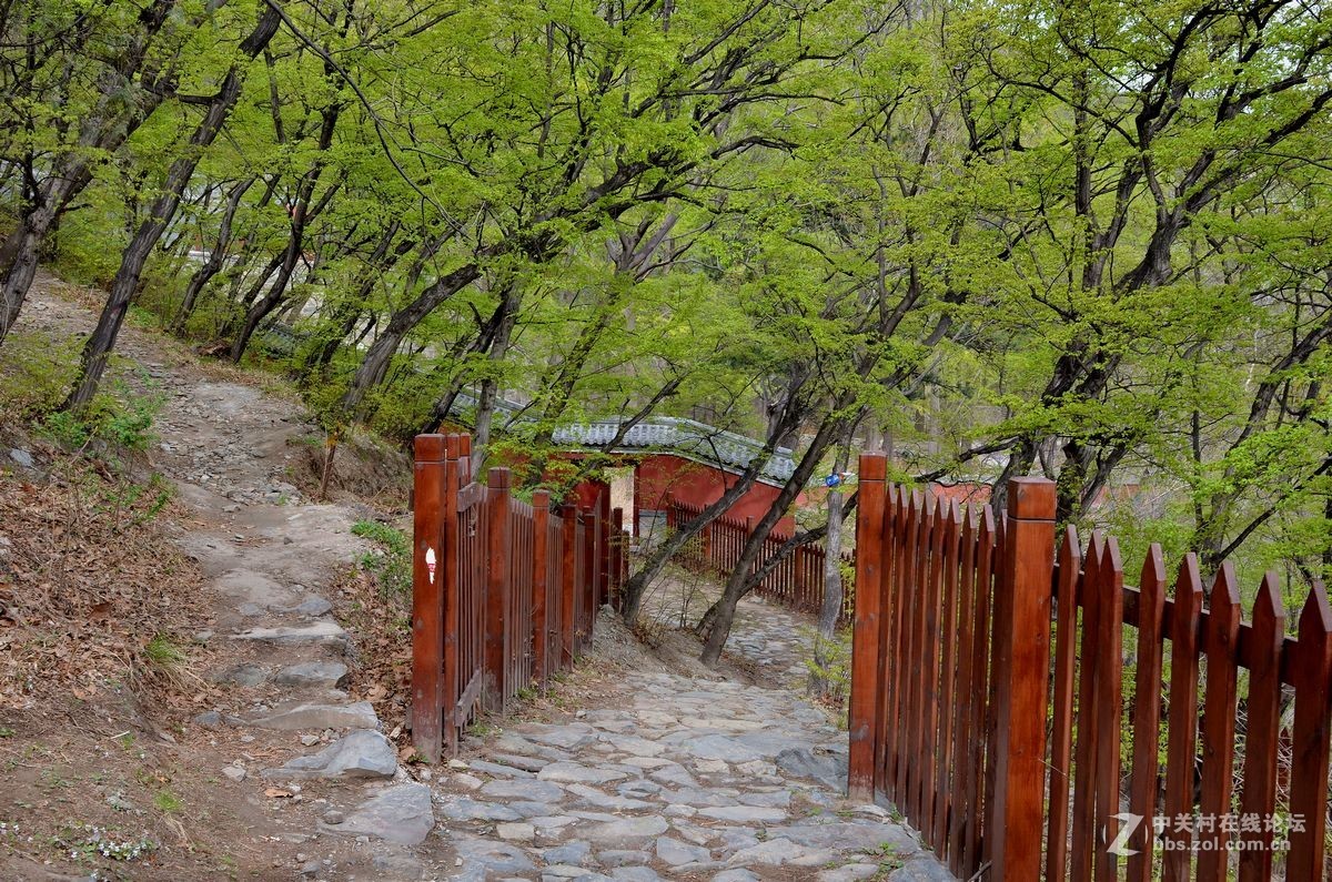阳台山上有个“金山寺”