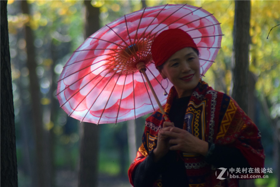 2016.11.4.luoyangyinxiang.