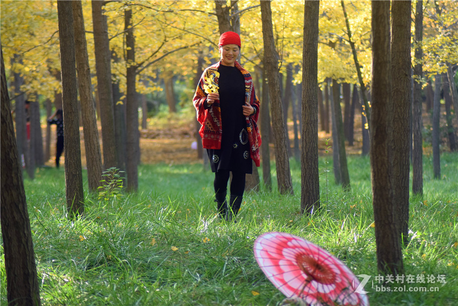 2016.11.4.luoyangyinxiang.