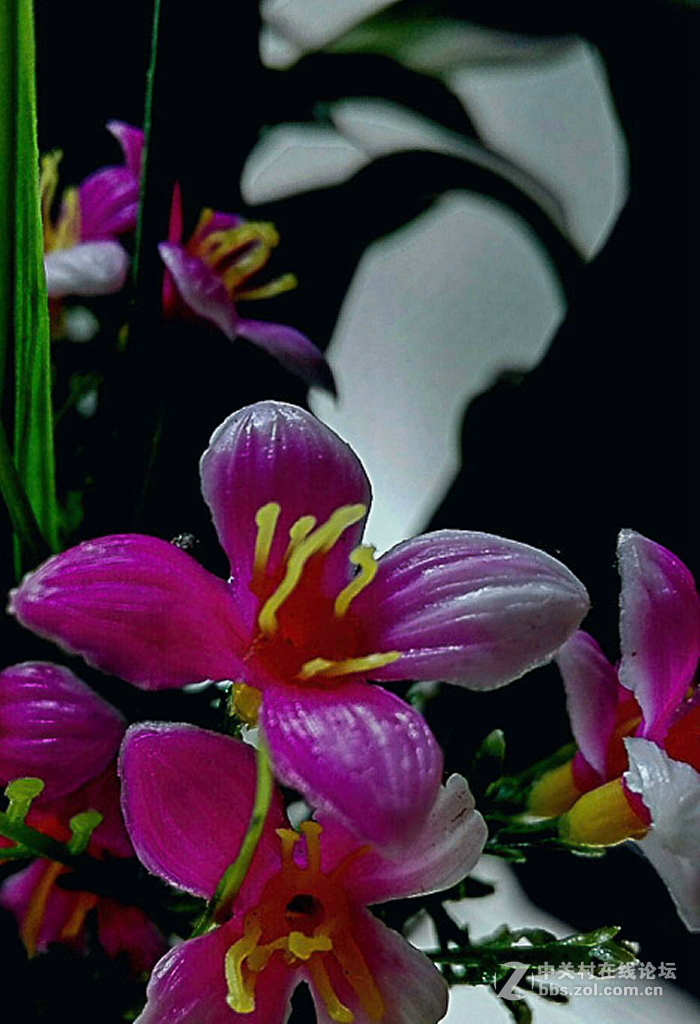 小花