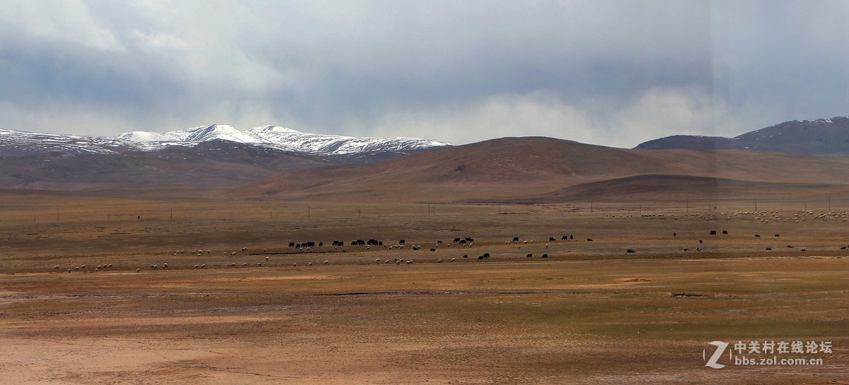 雪域高原，神秘风光系列【10】——天路风光-青藏铁路沿途秀美景色（2）