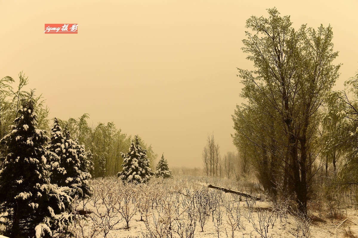 清明时节雨雪纷纷、大地到处银装素裹、尽显美景妖娆——拍摄于2018年4月5日清明节