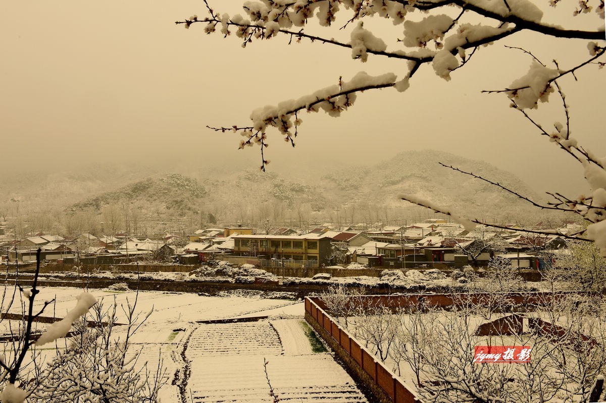 清明时节雨雪纷纷、大地到处银装素裹、尽显美景妖娆——拍摄于2018年4月5日清明节