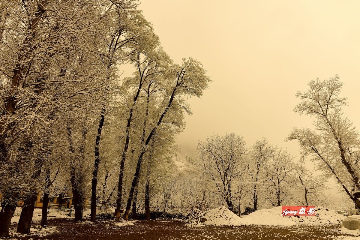 清明时节雨雪纷纷、大地到处银装素裹、尽显美景妖娆——拍摄于2018年4月5日清明节
