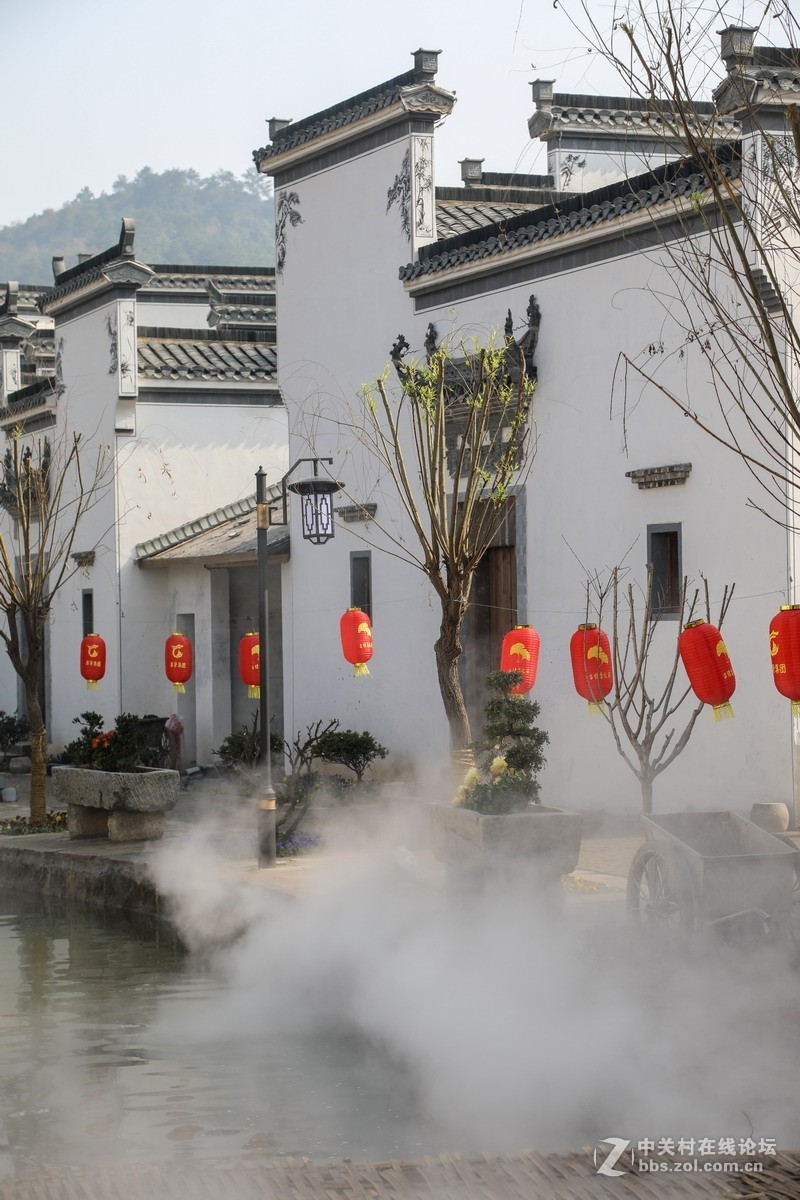 长兴八都岕十里古银杏3长兴新古街