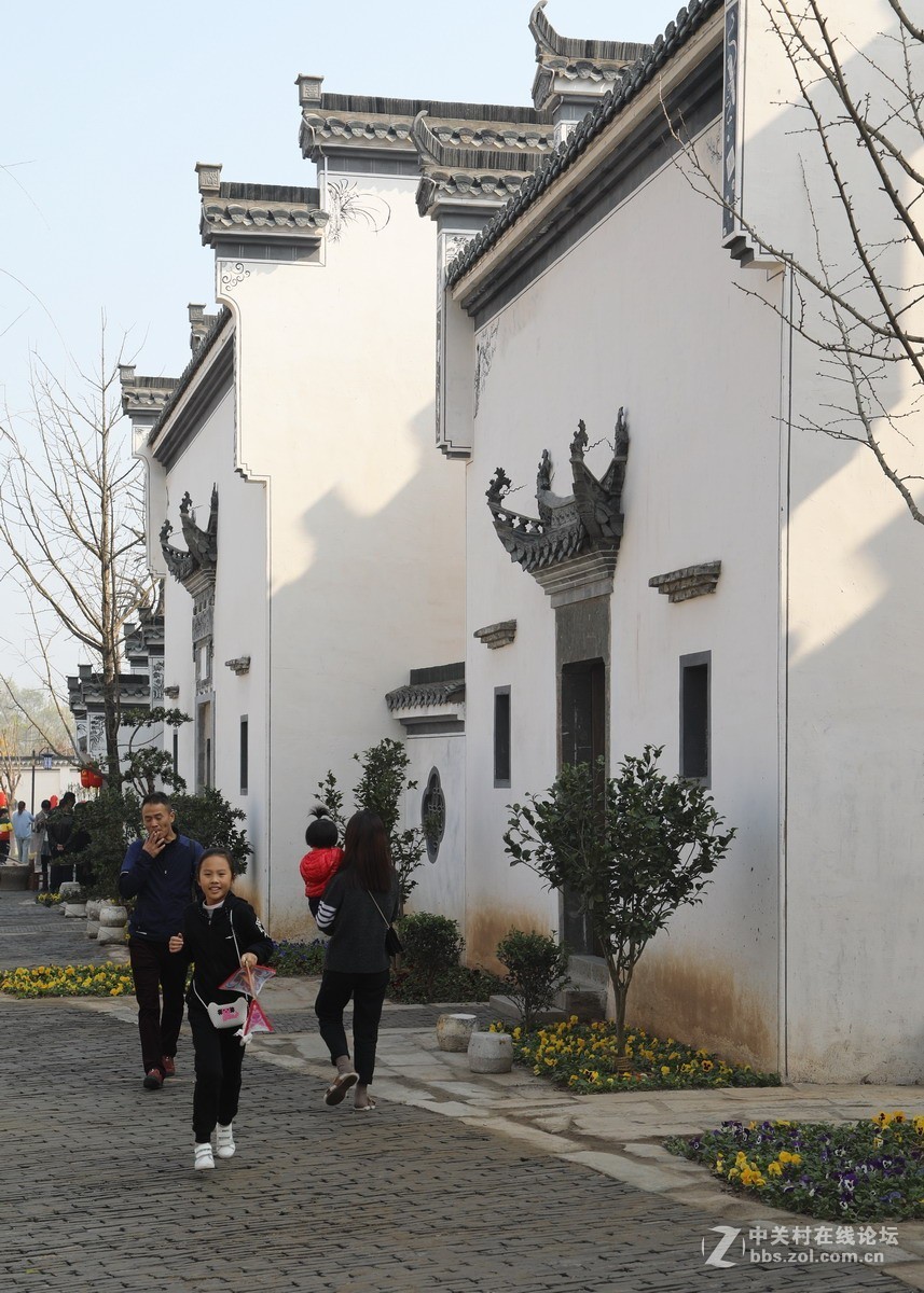 长兴八都岕十里古银杏3长兴新古街