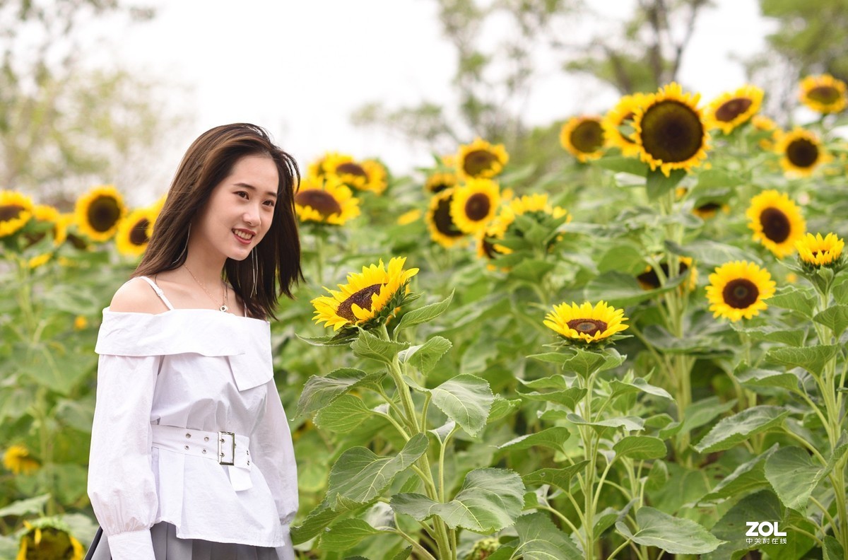 漏发的几张美女