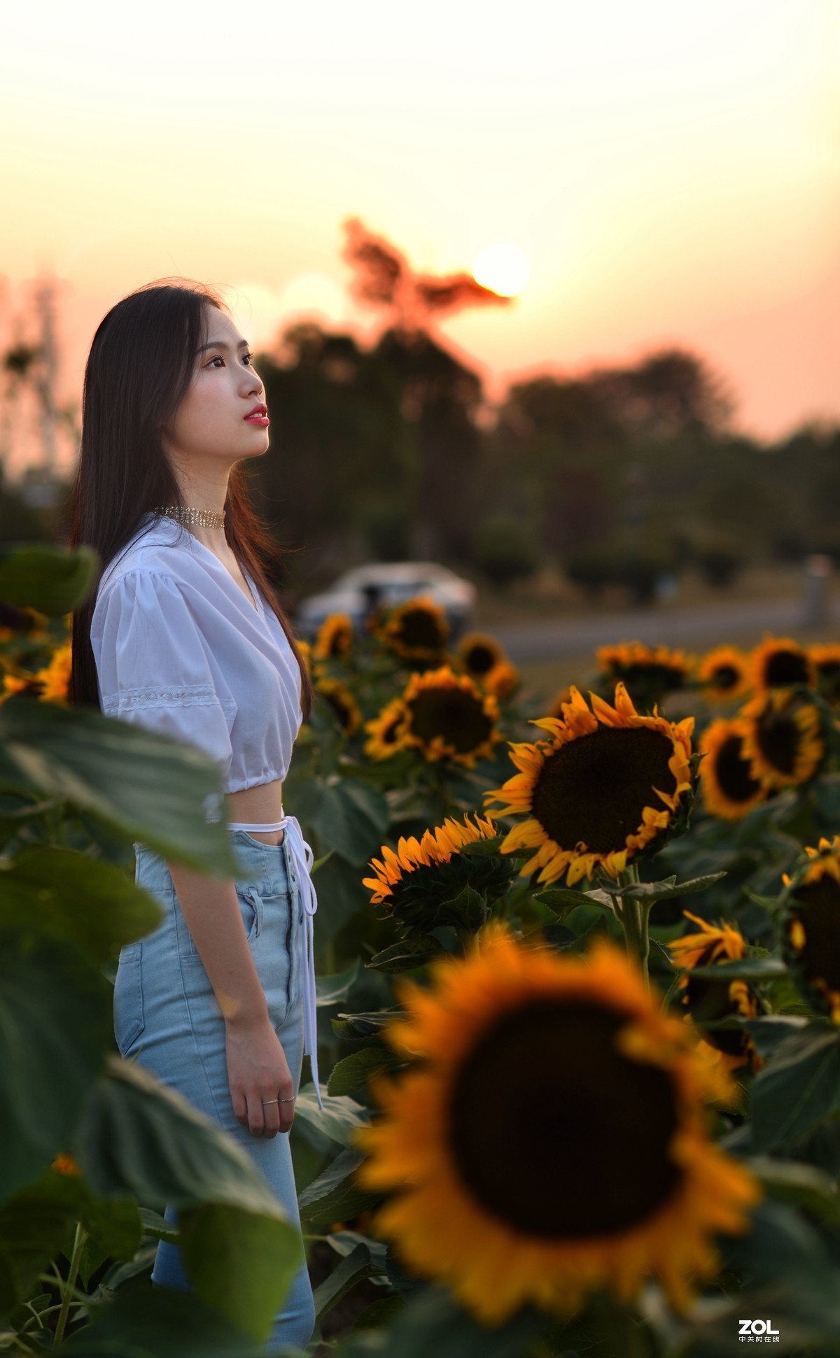 漏发的几张美女