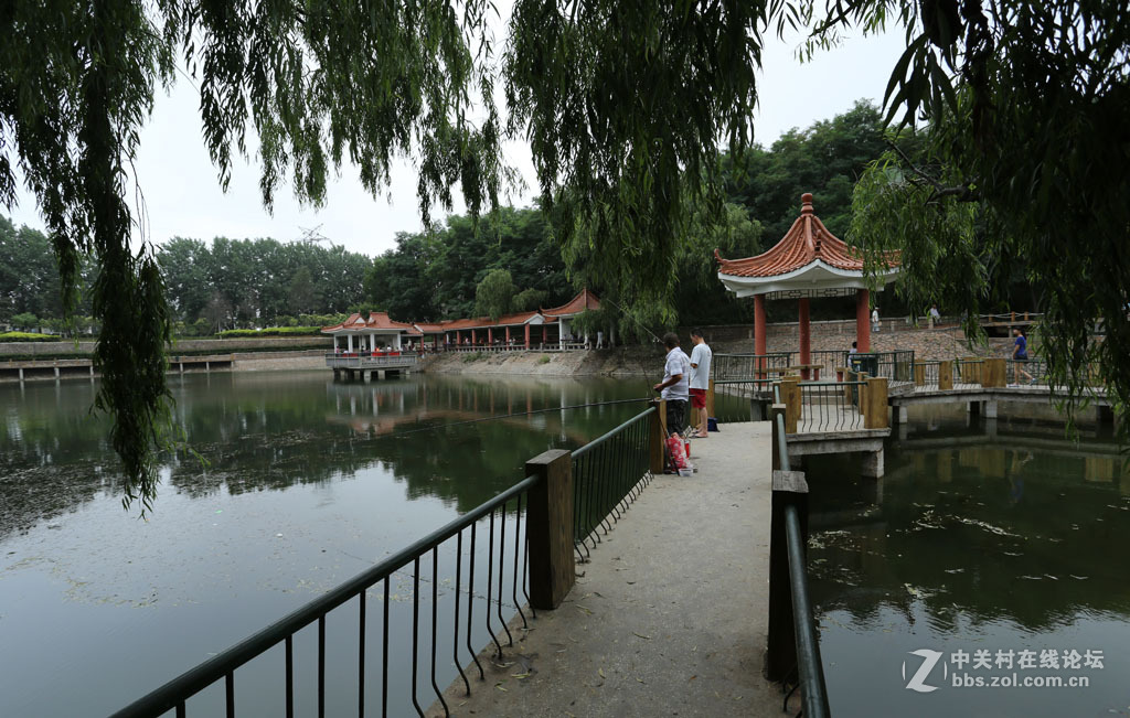 加定山深林公园【人工湖】