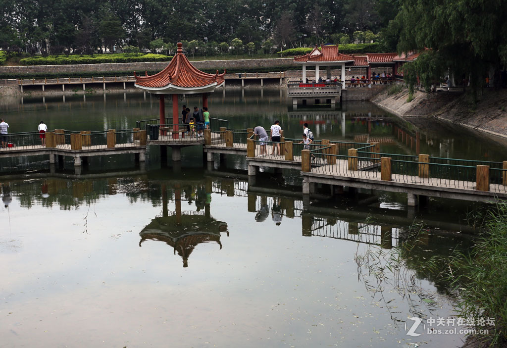 加定山深林公园【人工湖】