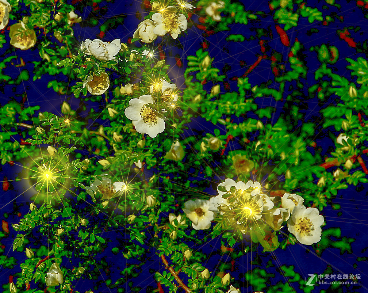 得用的星芒滤镜