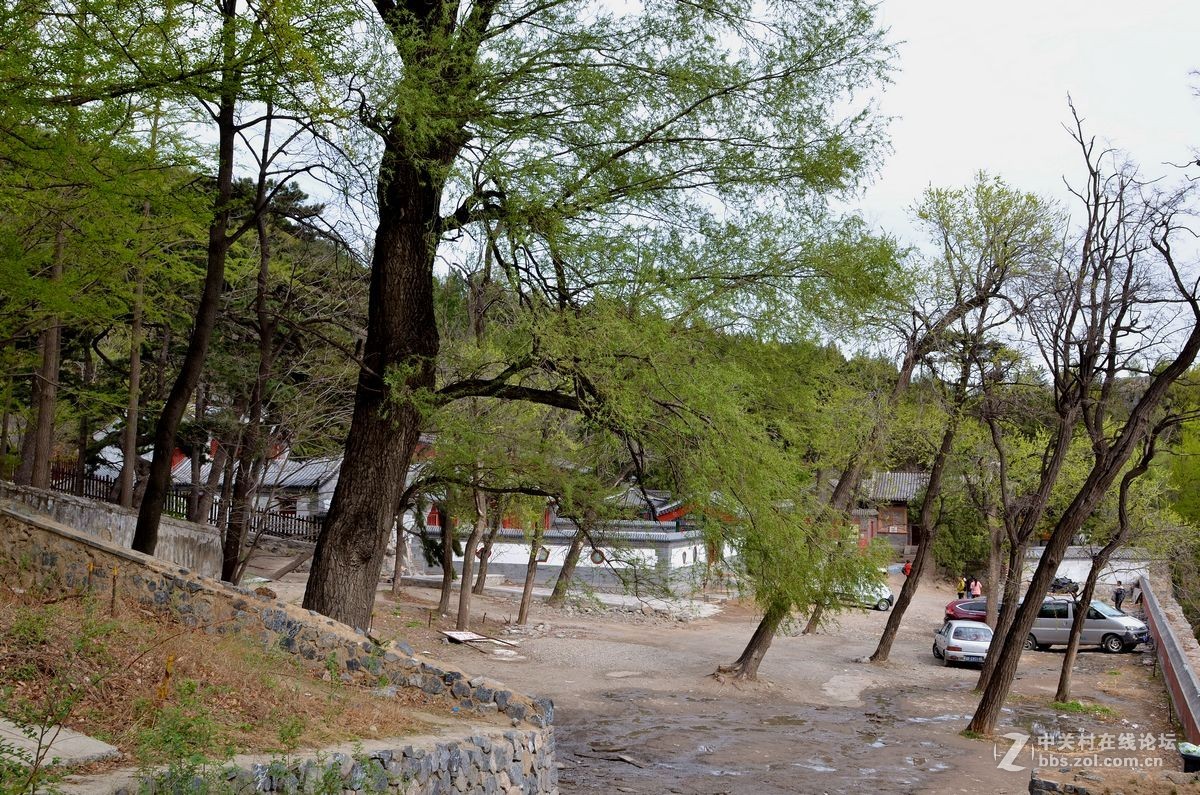 阳台山上有个“金山寺”