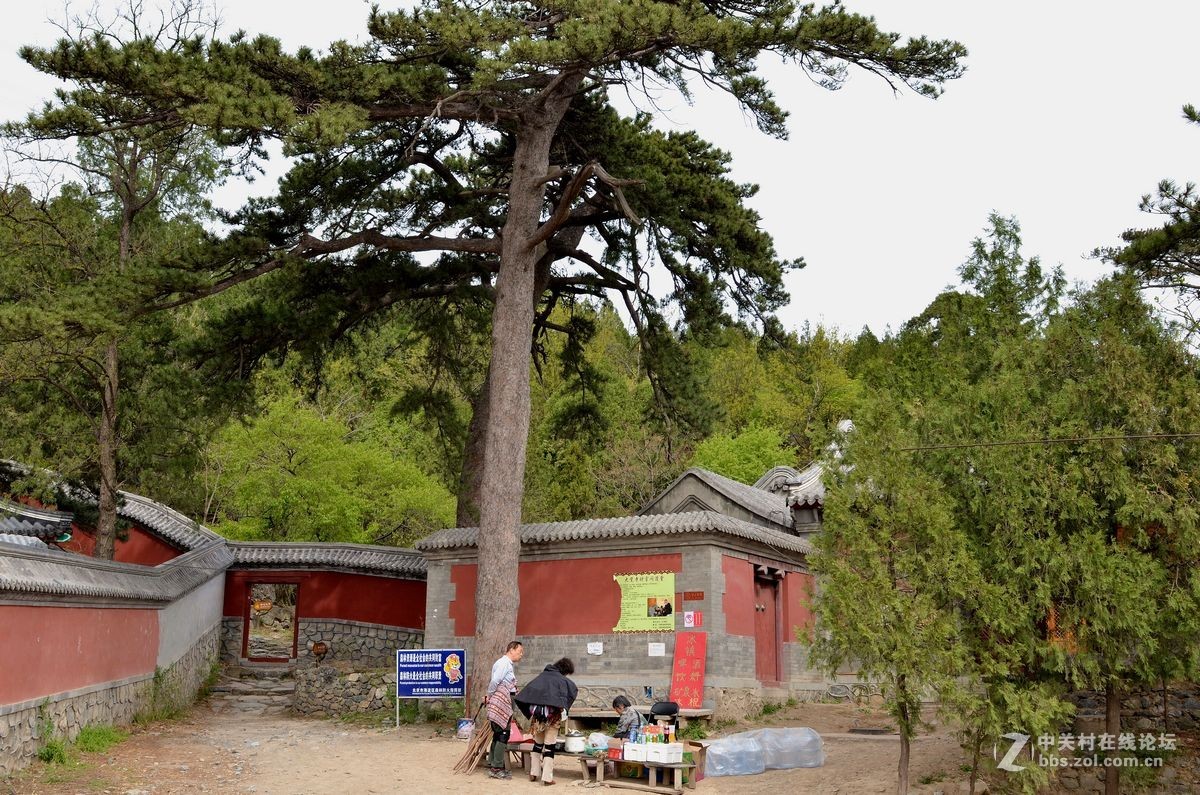 阳台山上有个“金山寺”