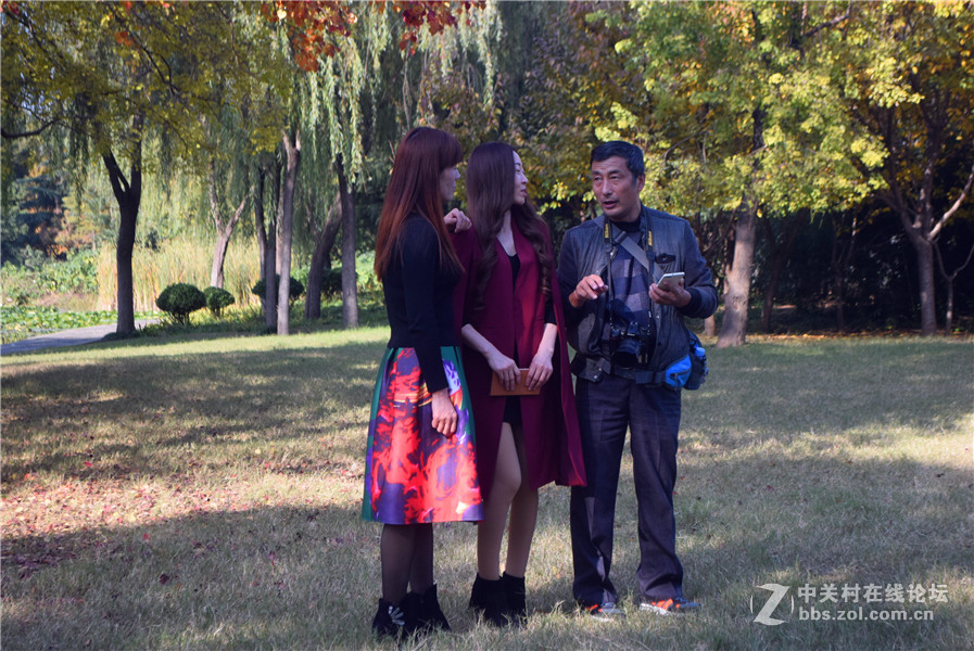 2016.11.4.luoyangyinxiang.