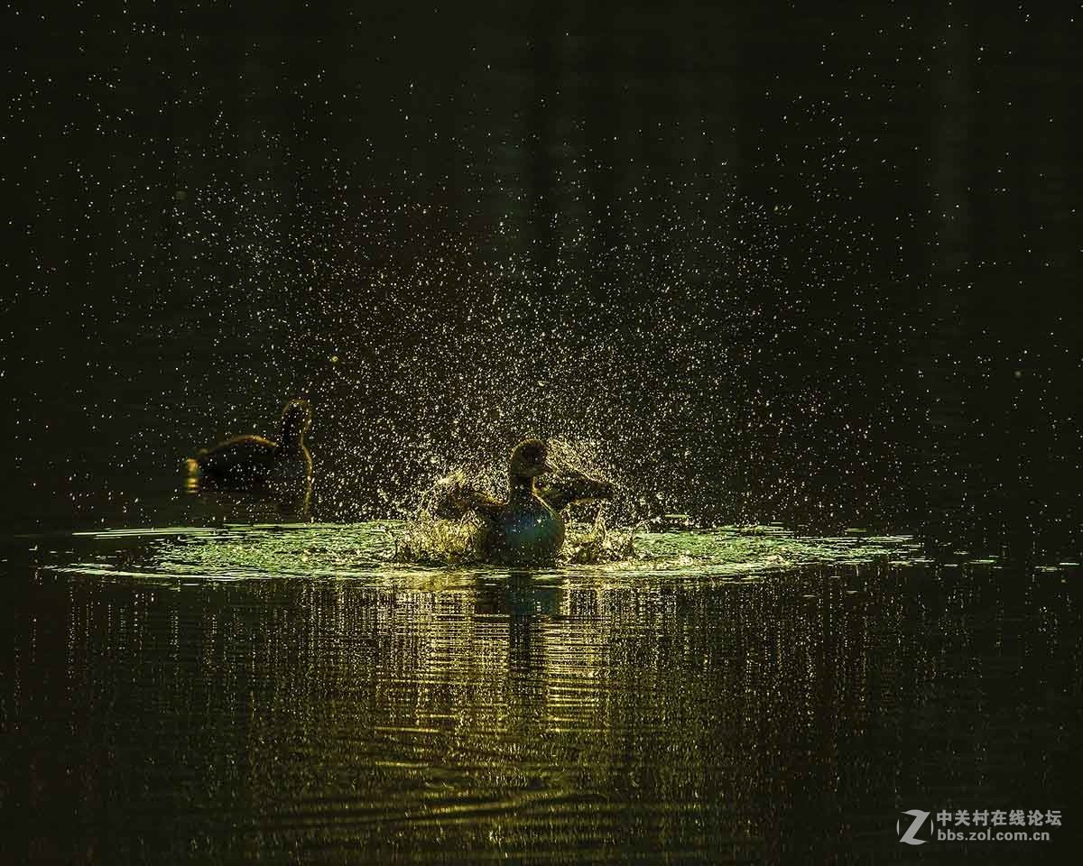 适马150-600S头试镜