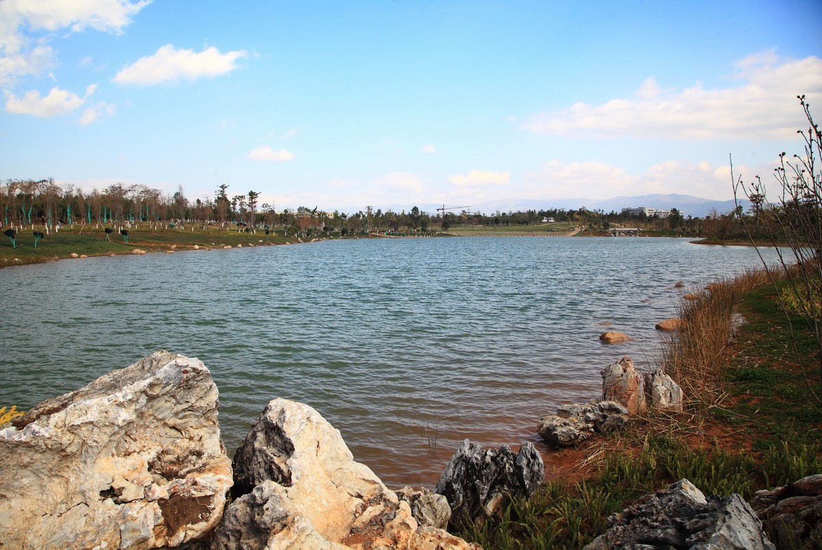 滇南绿洲生态园