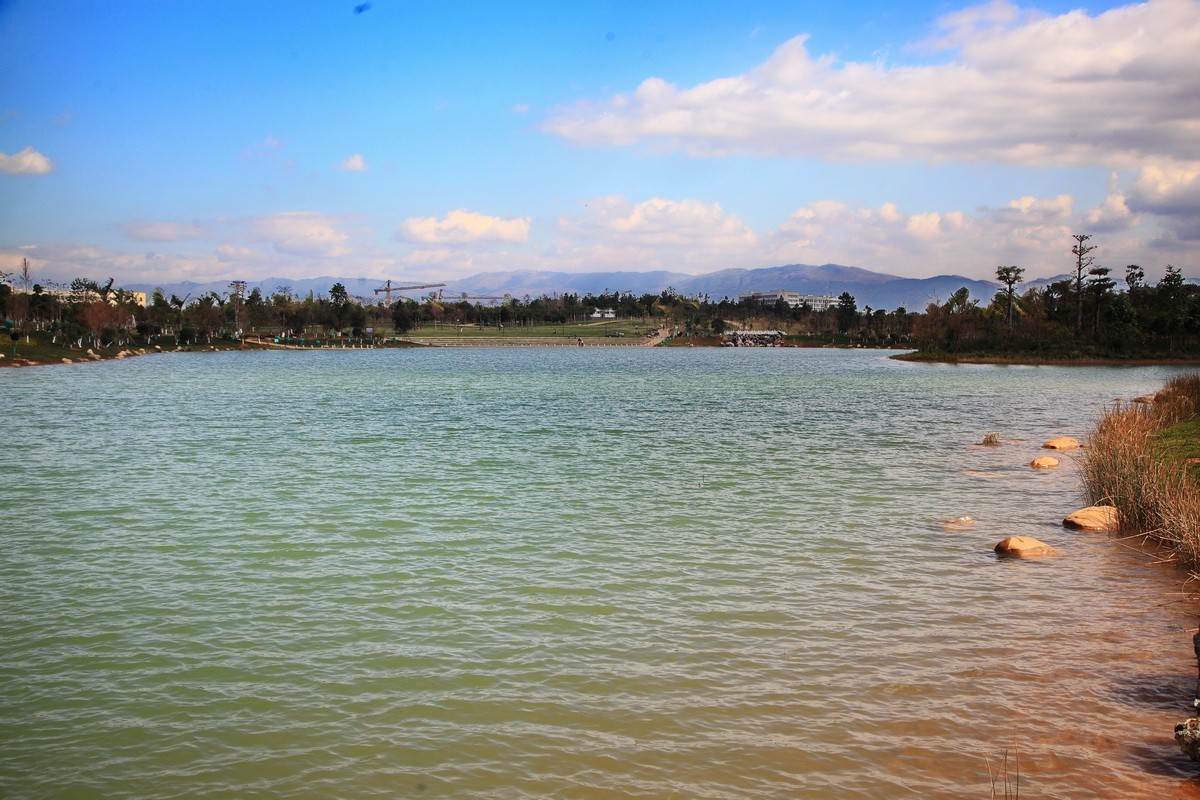 滇南绿洲生态园