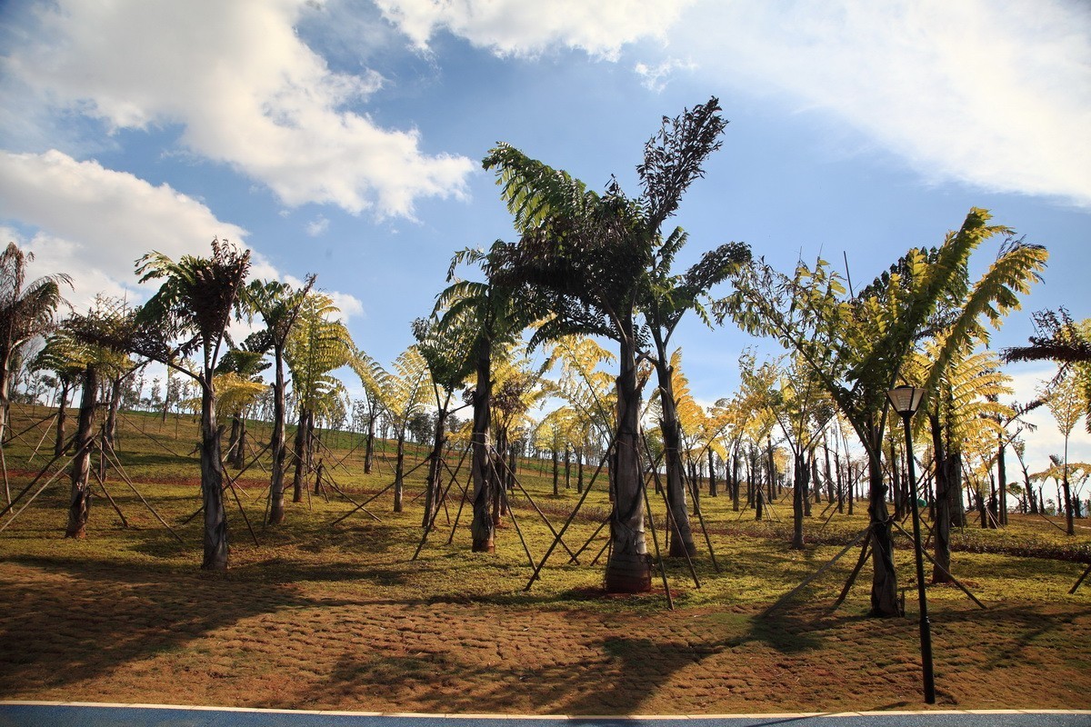 滇南绿洲生态园