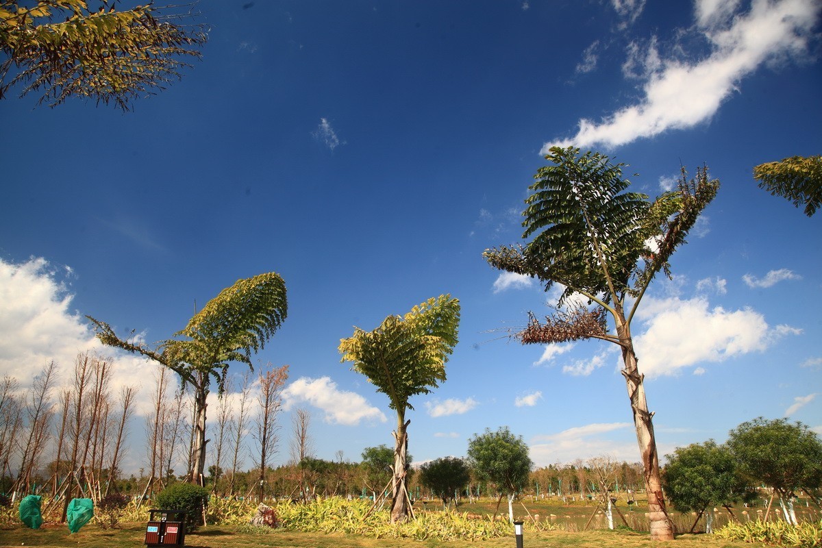 滇南绿洲生态园