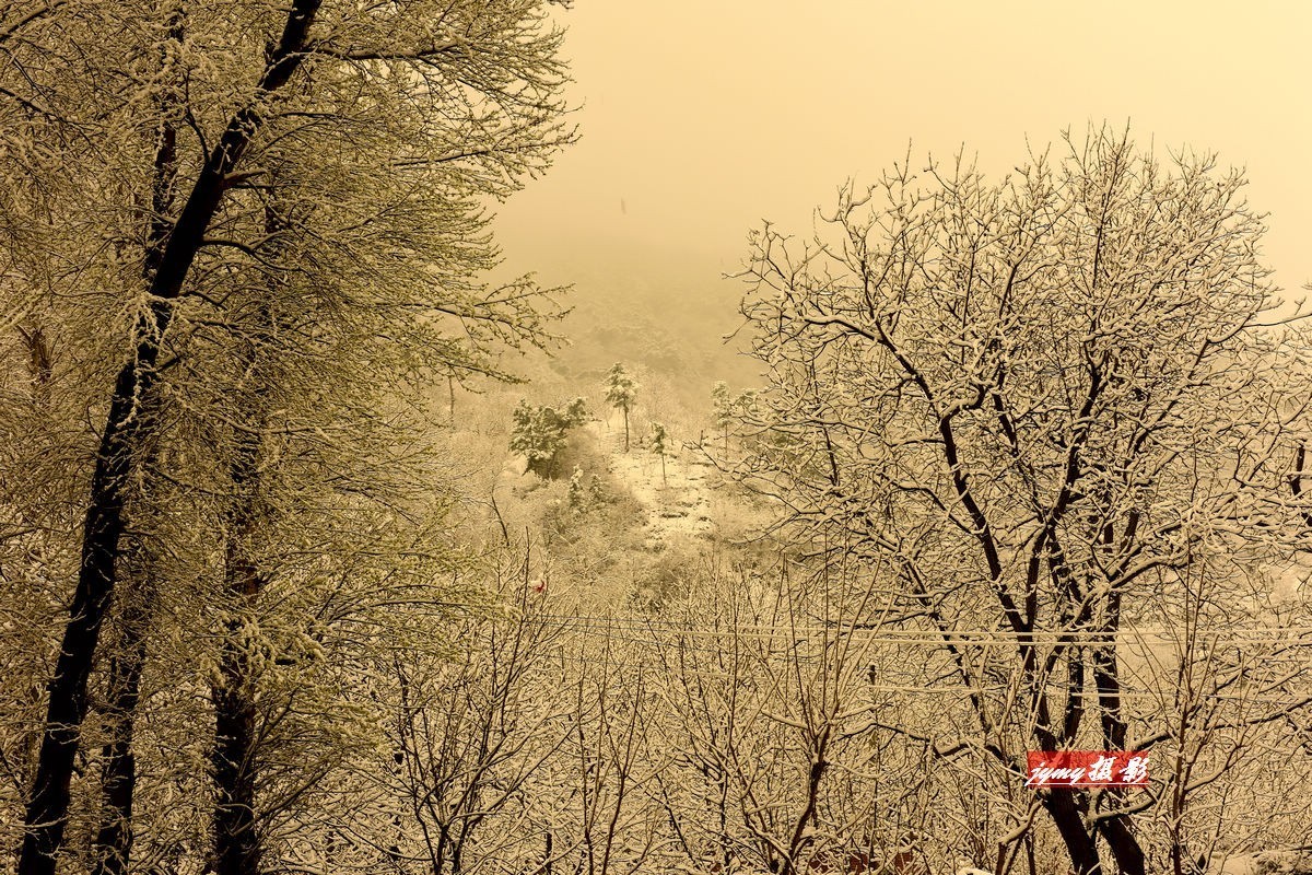 清明时节雨雪纷纷、大地到处银装素裹、尽显美景妖娆——拍摄于2018年4月5日清明节