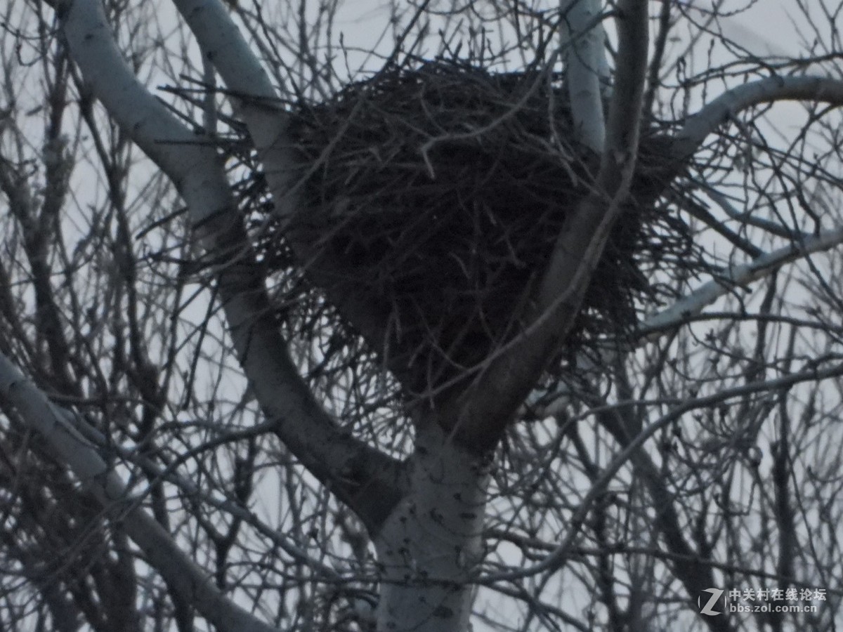 高速路距离G7不远的那条中国首条高速路边风景~
