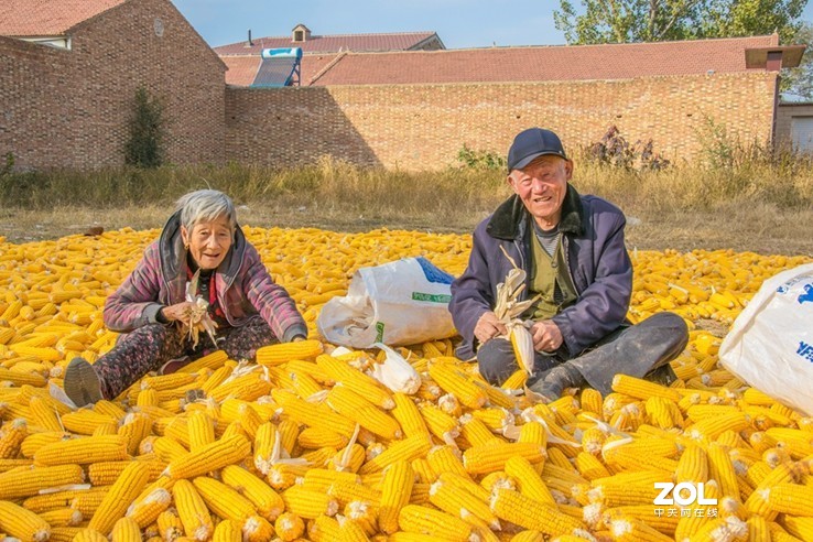 #ZOL月赛晒秋#   —秋天的歌