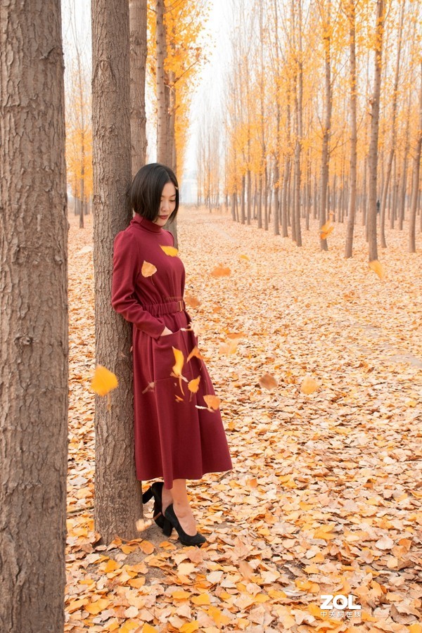 #ZOL月赛晒秋#   —秋天的歌