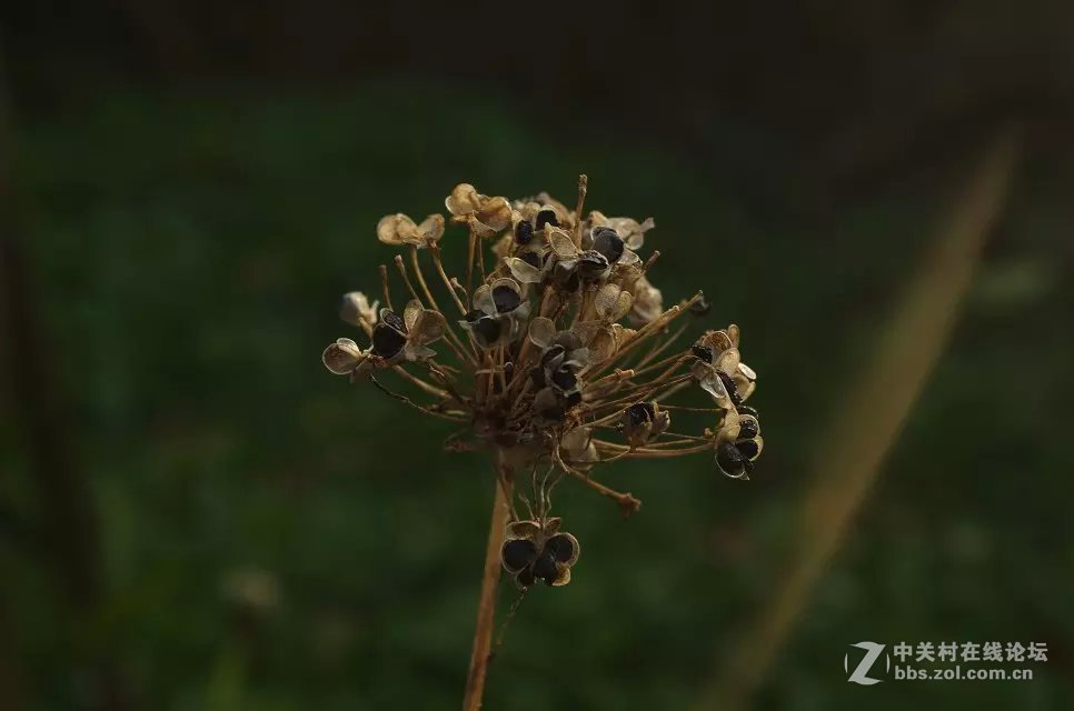 拍花花开始啦O(∩_∩)O~