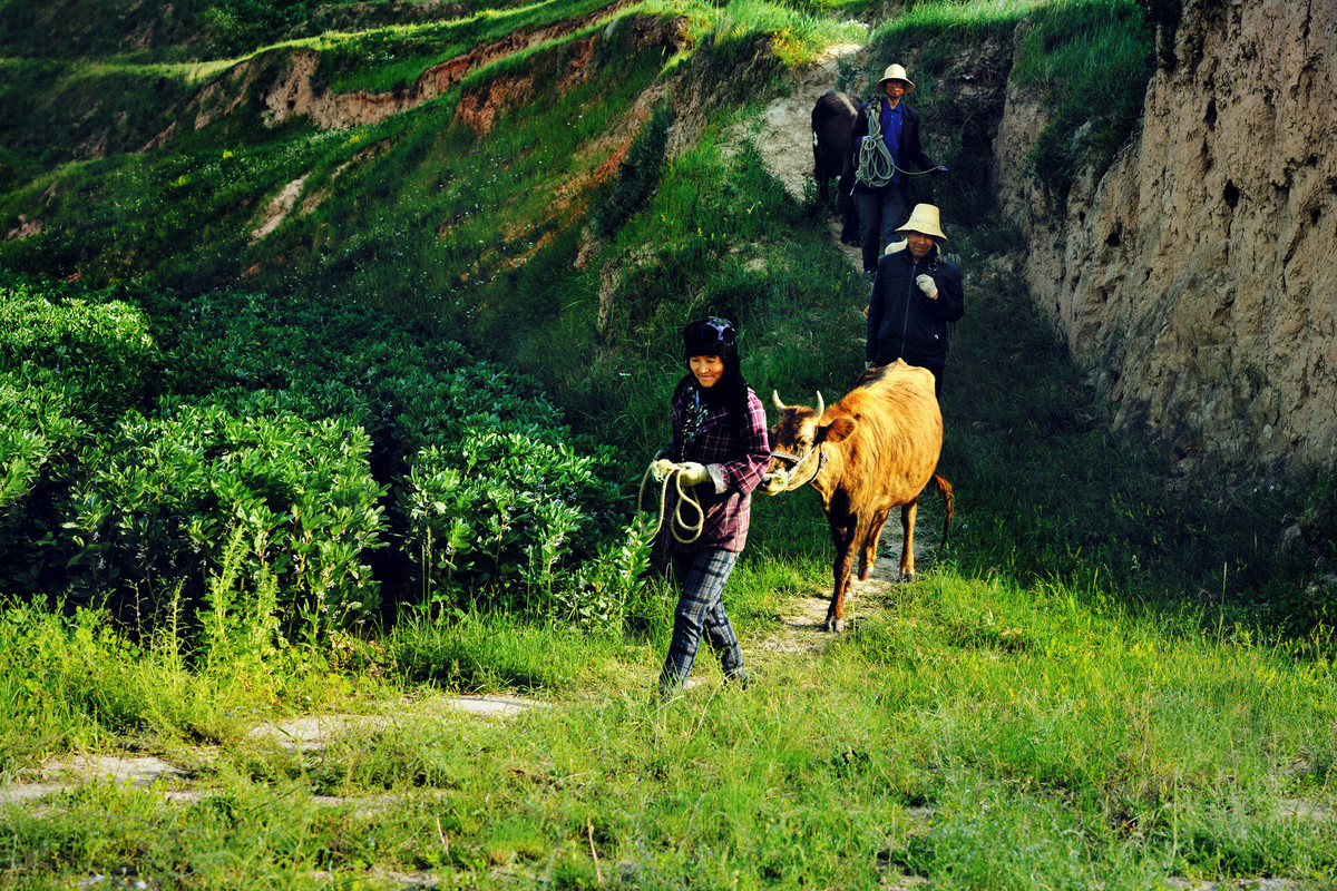 卓尼，甘南自治州