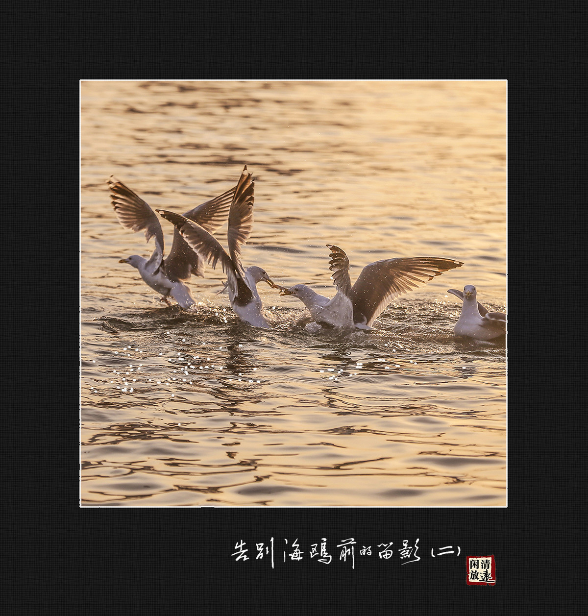 【影趣】各别海鸥前的留影（二）