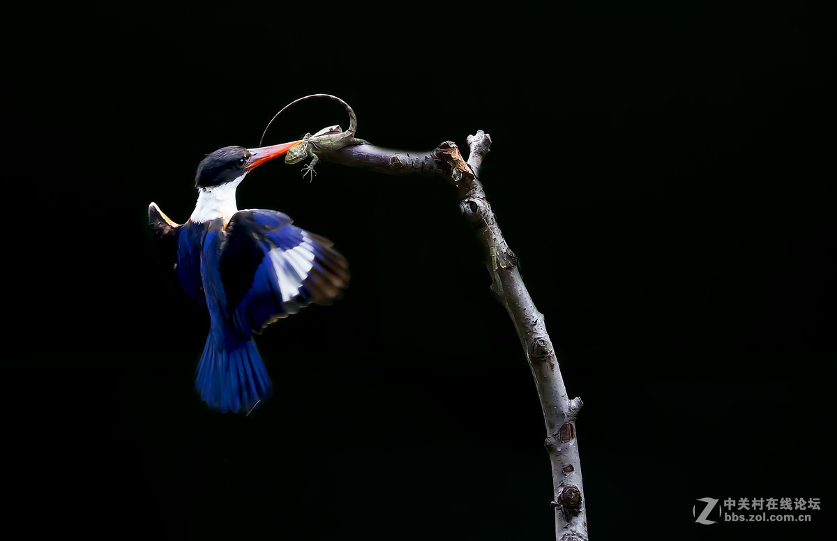 #版主坐堂#【天津版块】2016年8-10月金钻精华汇总